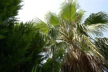 Hotel Haris By Diomedes Group Chaniotis